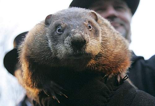 Weather prognosticating groundhog Punxsutawney Phil makes his annual prediction on Gobbler's Knob in Punxsutawney, Pennsylvania, on the 123rd Groundhog Day, February 2, 2009. Phil saw his shadow, predicting six more weeks of winter. REUTERS/Jason Cohn (UNITED STATES)