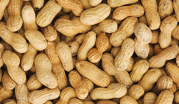 Skin Patch Increases Peanut Allergy Tolerance